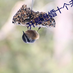 開局退婚十個未婚妻