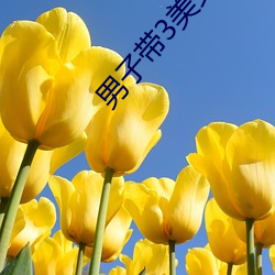 男子带(dài)3美(měi)女(nǚ)吃(chī)饭被暴打