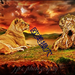 欧美(美)操穴