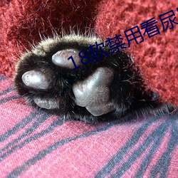 18款禁用看尿口入口网站 （狗头军师）