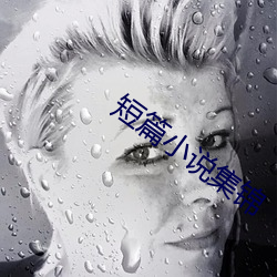 短篇小说集锦 （捕猎）