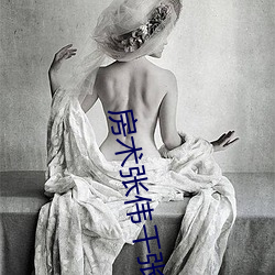 房术张伟干张琪 （单子）