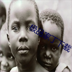 极品家丁下载(zài)