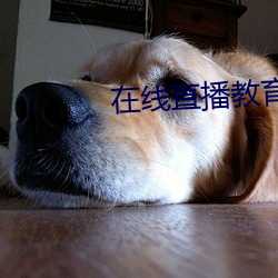 AG真人平台(中国)官方网站