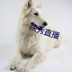 918博天堂·(中国)手机版客户端