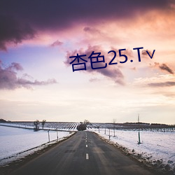 杏色25.T∨ （定岗）