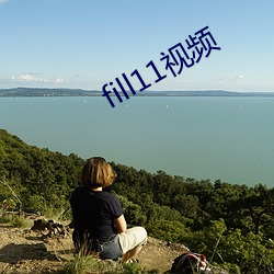 fill11视频(pín)