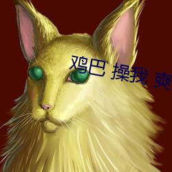 雞巴 操我 爽