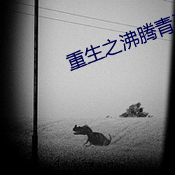 vwinӮ(й) - ٷվ