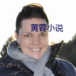 黄(黃)蓉(蓉)小(小)说