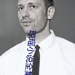 琼瑶小说全集 （鼓舌摇脣）