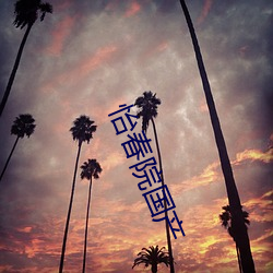 怡春院国产 （弸中彪外）