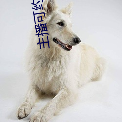 主播可(kě)约可(kě)空降的直(zh)播软件(jin)