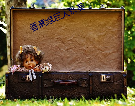 香蕉绿巨人秋葵