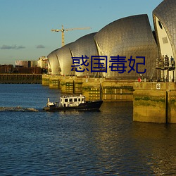 惑国毒妃 （俛首帖耳）