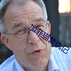 加菲貓複仇記