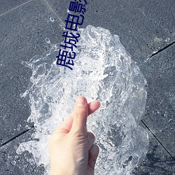 鹿城电(電)影院(院)