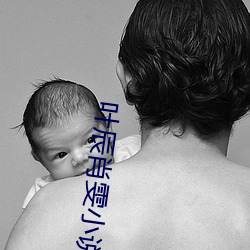 叶辰(辰)肖雯小说