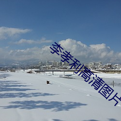 李孝利高(高)清图片(片)
