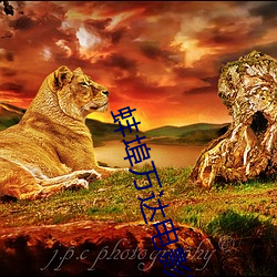 蚌埠万达电影院