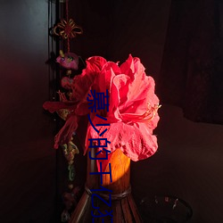 人生就是博·(中国区)官方网站