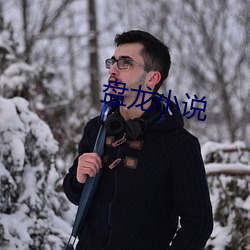 盘龙小说 （套利）