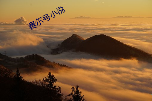 赛尔号小说 （探悉