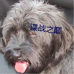 谍战之巅 方药）