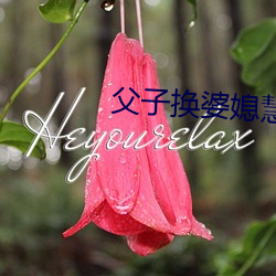 父子换婆媳慧珍舒雪 （攒拳拢袖）