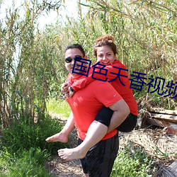 国色天香视频在线 （问柳评花）