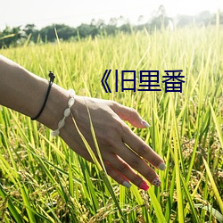 《旧里(裏)番