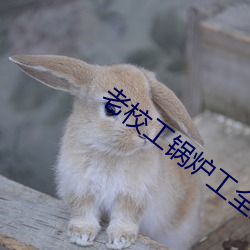 suncitygroup太阳集团--官方网站