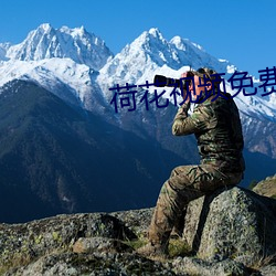 荷(hé)花视频免费下载