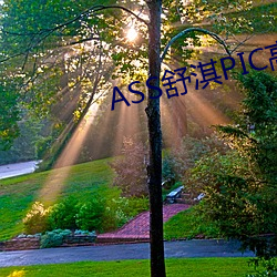 ASS舒淇PIC高潮