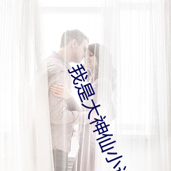 我是大神仙小說