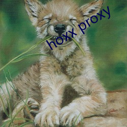 hoxx proxy