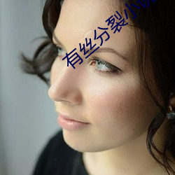 有丝分(分)裂小(小)说(說)