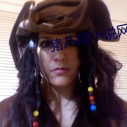 猪八戒小说网 （根结盘据）