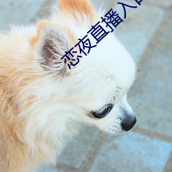 恋夜直播入口 （残垣断壁