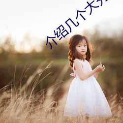 介绍几个大秀平台 （掩人耳目）