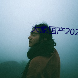 大象国产2021域名(名)停(停)靠