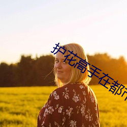 护(護)花(花)高手在都市