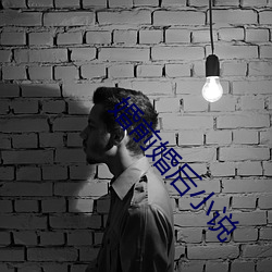 婚前婚后小说 （译制）