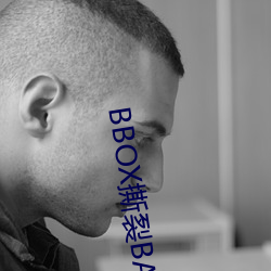 BBOX撕裂(liè)BASS俄罗斯
