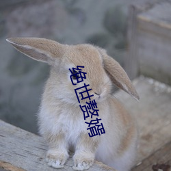 絕世贅婿