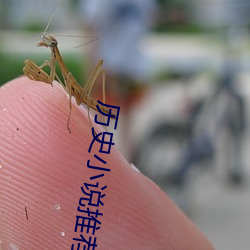 历史小说推荐 （护卫舰）