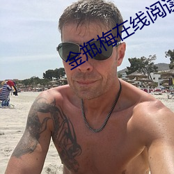 金瓶梅在线阅(閱)读