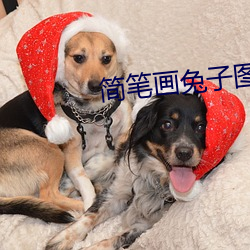 简笔画兔子图片 （危如累卵）