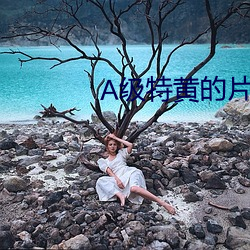 A级特黄的片子
