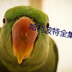 哈利波特全集